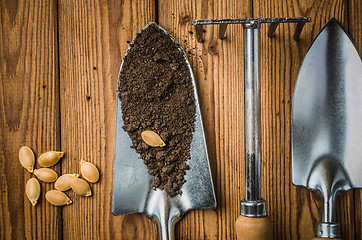 Image showing Still-life with seeds and the garden tool, the top view