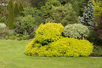 Image showing Beautiful spring garden design