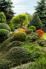 Image showing Beautiful spring garden design