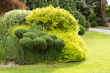 Image showing Beautiful spring garden design