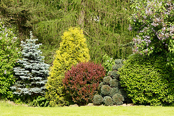 Image showing Beautiful spring garden design