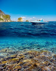 Image showing Underwater and surface split view in the tropics