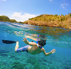 Image showing Underwater and surface split view in the tropics