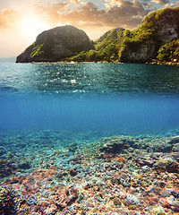 Image showing Underwater and surface split view in the tropics