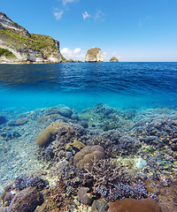 Image showing Underwater and surface split view in the tropics