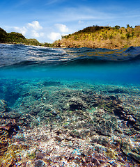 Image showing Underwater and surface split view in the tropics