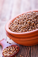 Image showing coriander