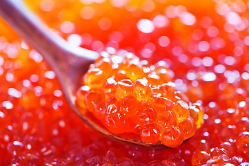 Image showing red salmon caviar