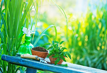 Image showing gardening utensil