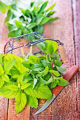 Image showing fresh mint