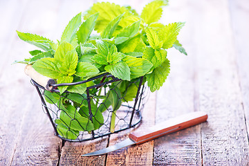 Image showing fresh mint