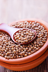 Image showing coriander