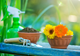 Image showing garden tools