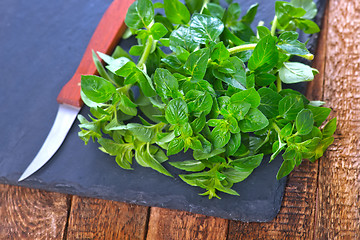 Image showing marjoram