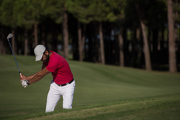 Image showing golfer hitting a sand bunker shot