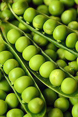 Image showing Fresh  organic green peas