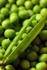 Image showing Fresh  organic green peas