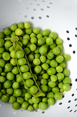 Image showing Fresh  organic green peas