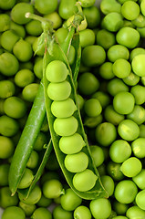 Image showing Fresh  organic green peas