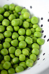 Image showing Fresh  organic green peas