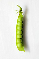 Image showing Fresh  organic green peas