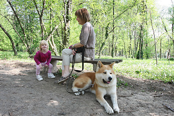 Image showing Enjoying in public park