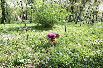 Image showing Young girl in dandelion