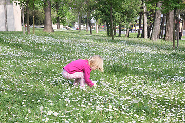 Image showing Young girl in dandelion