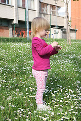 Image showing Young girl in dandelion