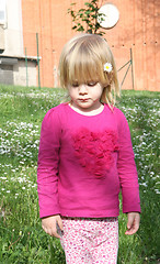 Image showing Young girl in the meadow of dandelion