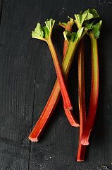 Image showing Fresh organic rhubarb