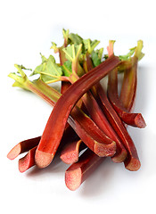 Image showing Fresh organic rhubarb
