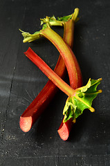 Image showing Fresh organic rhubarb