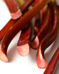 Image showing Fresh organic rhubarb