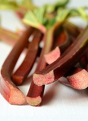 Image showing Fresh organic rhubarb