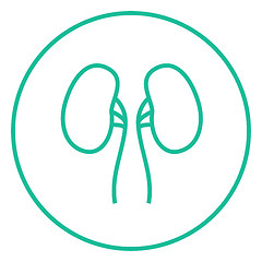 Image showing Kidney line icon.