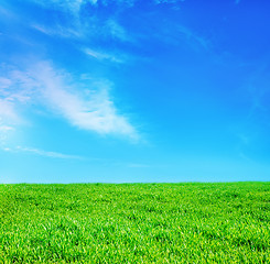 Image showing grass and sky