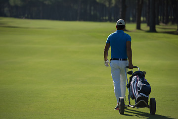 Image showing golf player walking with wheel bag