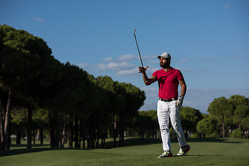 Image showing golf player walking and carrying driver
