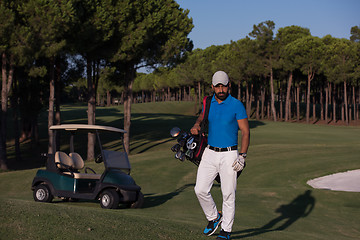 Image showing golfer  walking and carrying golf  bag