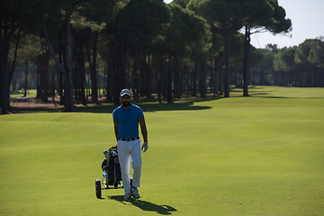 Image showing golf player walking with wheel bag