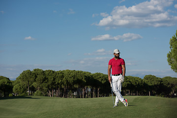 Image showing handsome middle eastern golf player portrait at course