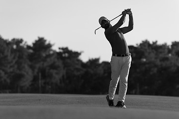 Image showing golfer hitting long shot