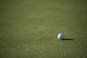Image showing golf ball on grass