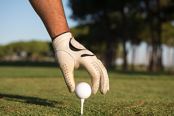 Image showing close up of golf players hand placing ball on tee