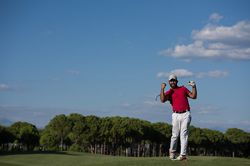 Image showing golf player hitting long shot