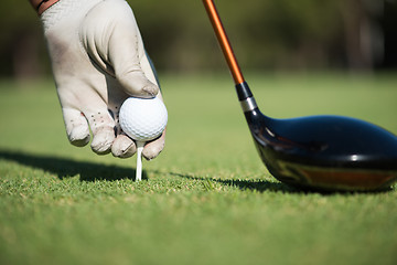 Image showing golf player placing ball on tee