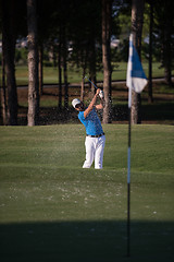 Image showing pro golfer hitting a sand bunker shot