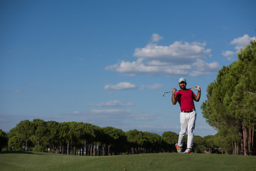 Image showing golf player hitting long shot