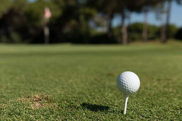 Image showing golf ball on tee